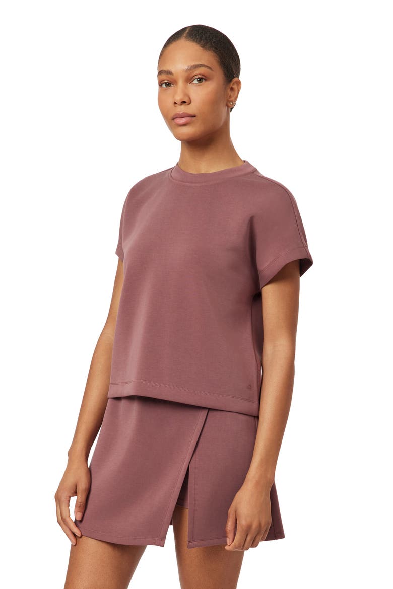 Curved Sleeve T-Shirt, Alternate, color, ROSE BROWN