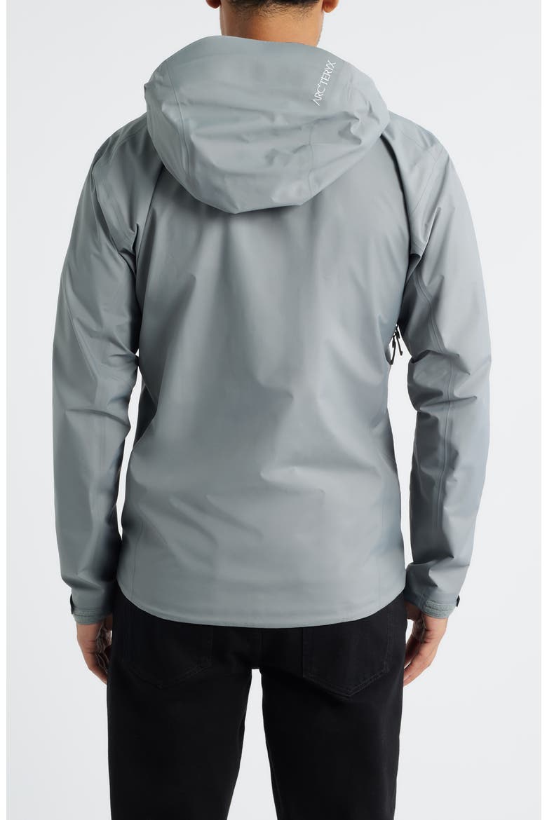 Beta SL Hybrid Gore-Tex® Hooded Jacket, Alternate, color, VOID