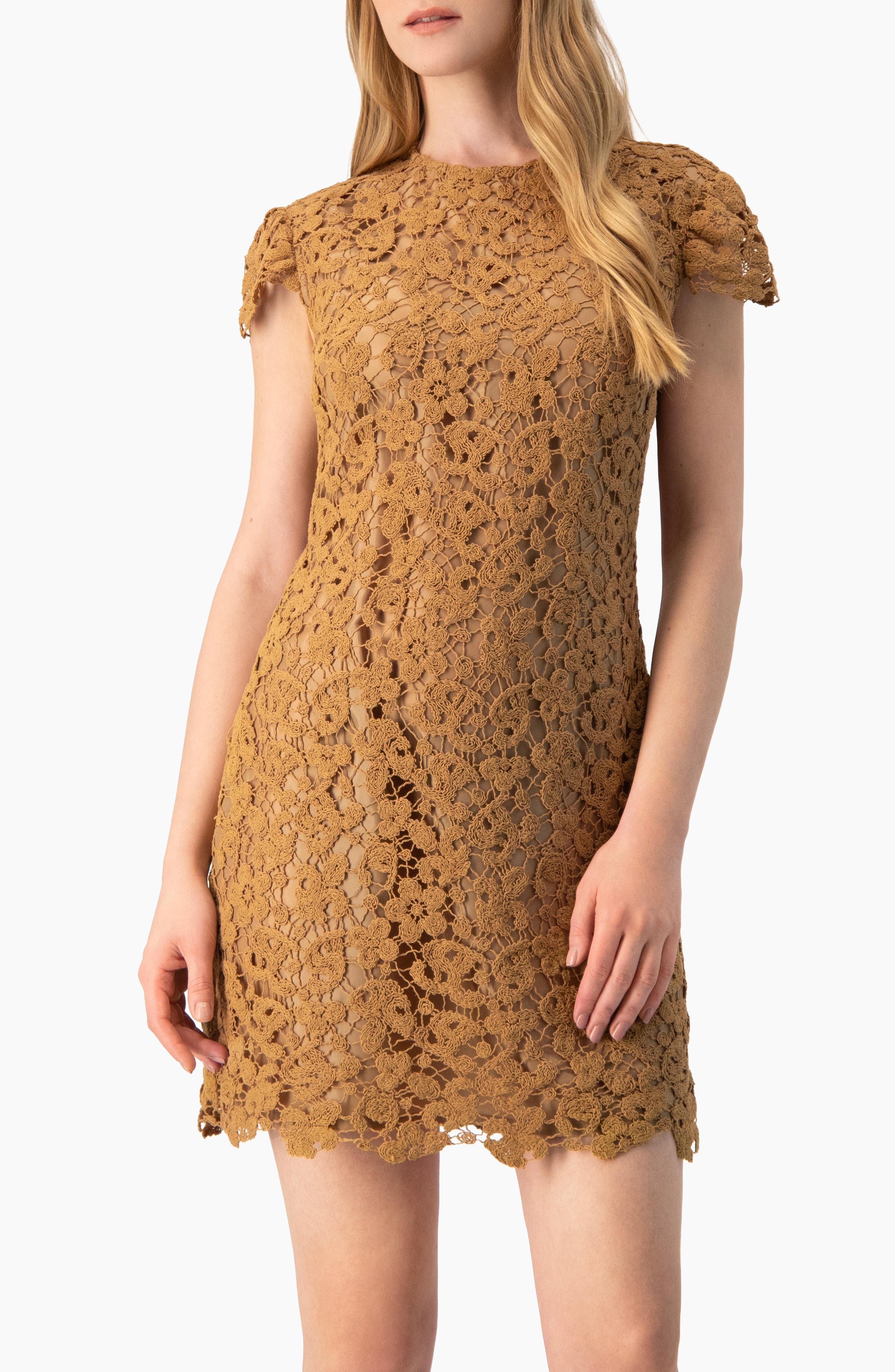 selected Light Brown