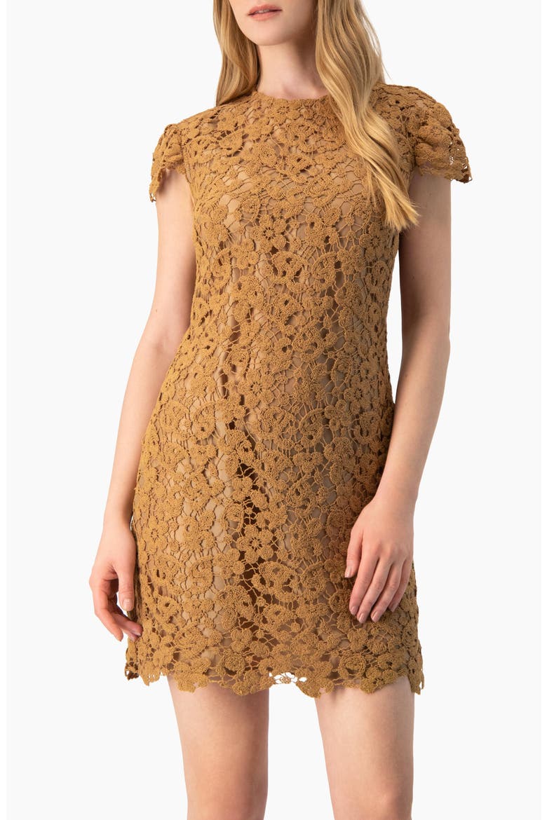 Guipure Lace Cap-Sleeve Shift Dress, Main, color, Light Brown