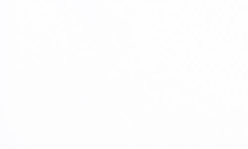 Roxy Jetty Mittens In White