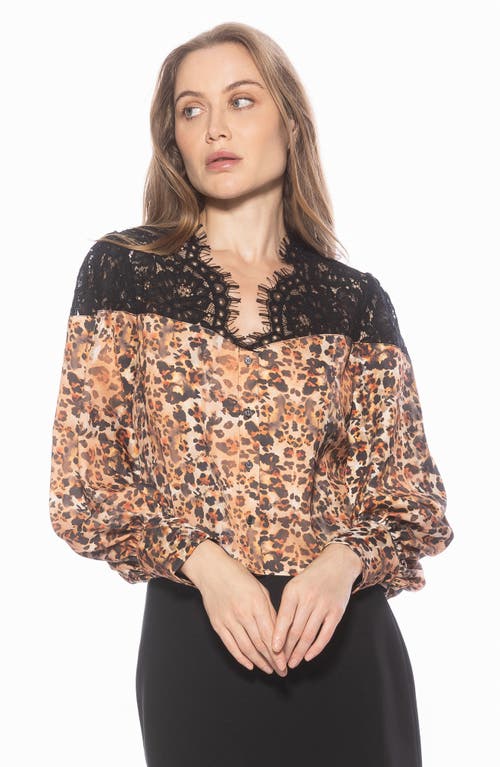 Alexia Admor Bryne Lace Trim Top In Brown