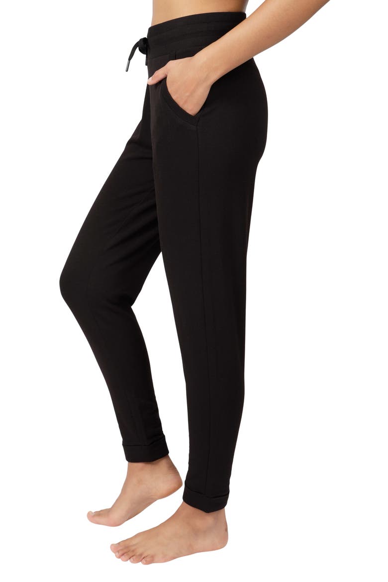 Terry Brushed Fleece Lined Jogger, Alternate, color, BLACK