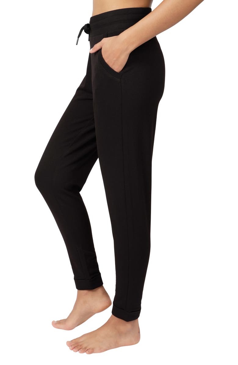 90 DEGREE BY REFLEX Terry Brushed Fleece Lined Jogger, Alternate, color,