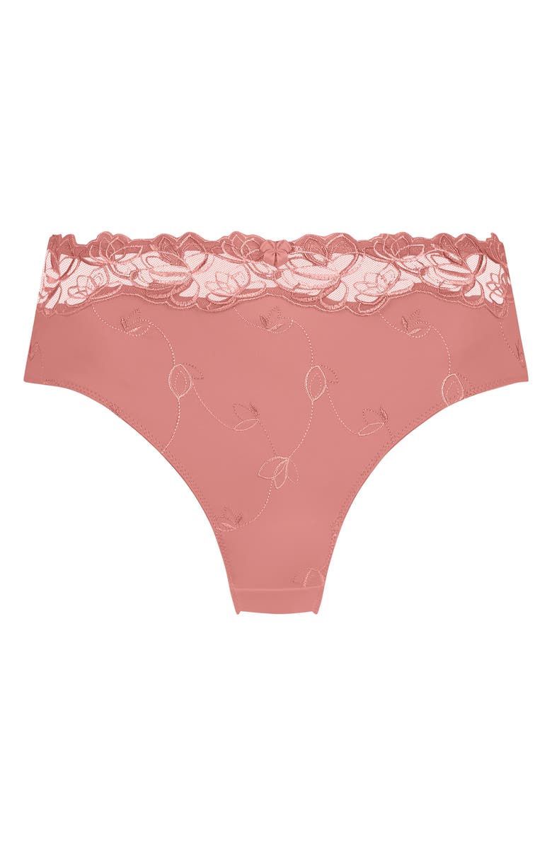 Hunkemöller Diva Embroidered Mesh Panties, Alternate, color, 
