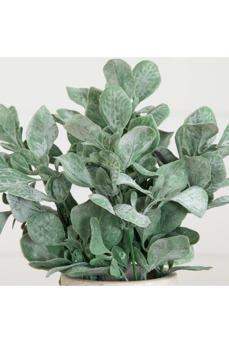 8-in Artificial Mixed Eucalyptus Plant in Decorative Planter - Set of 3, Alternate, color, Green