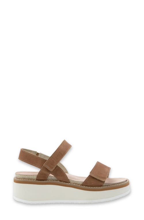 Naot Meringue Wedge Sandal In Latte Brown Leather W/camel