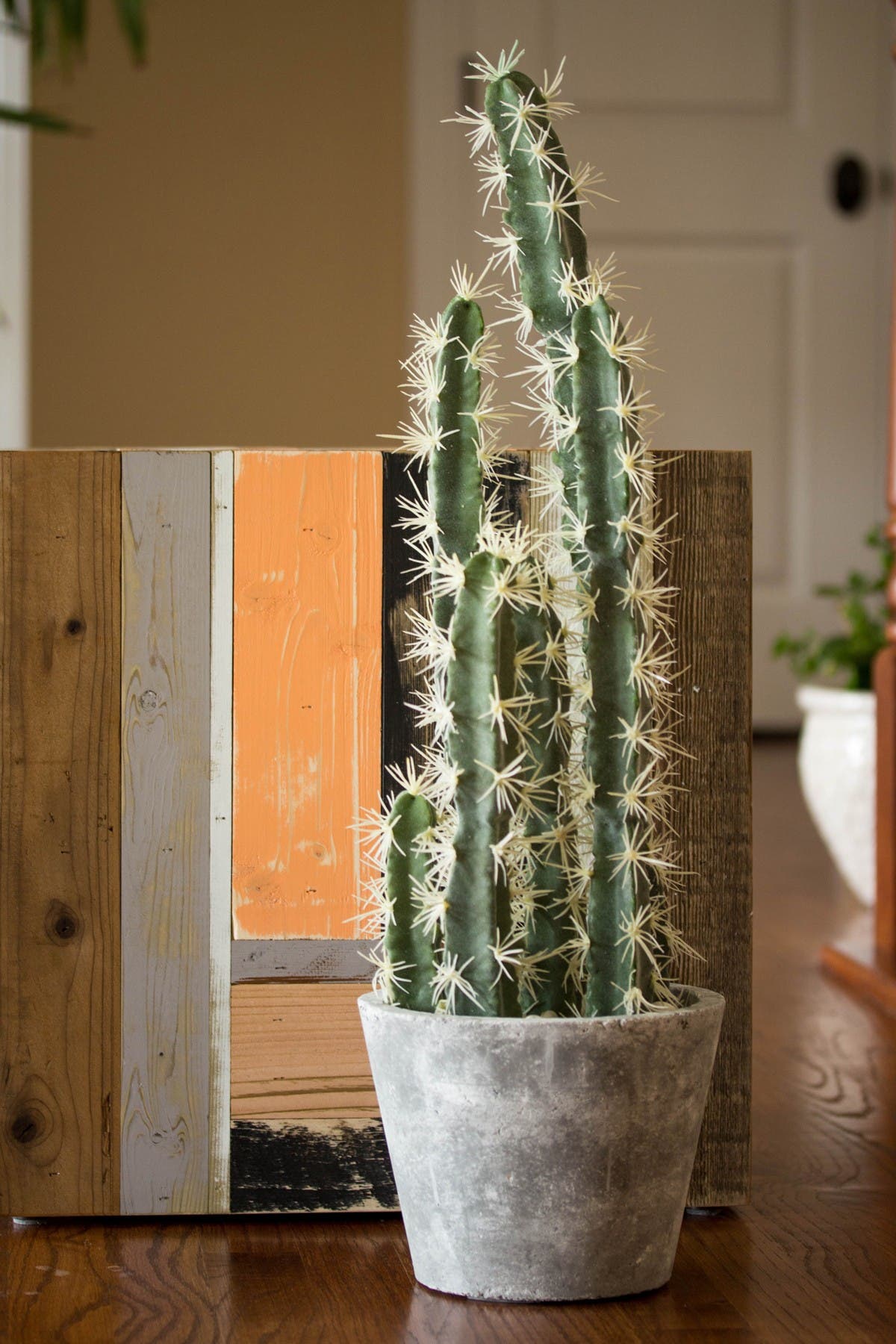 NEARLY NATURAL Decorative Cactus Garden with Cement Planter | Nordstromrack