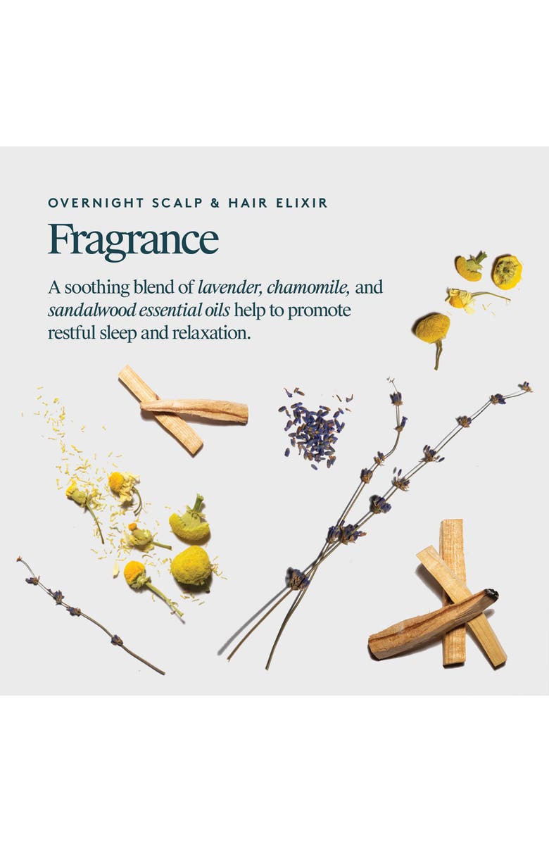 Virtue<sup>®</sup> Overnight Scalp & Hair Elixir, Alternate, color,