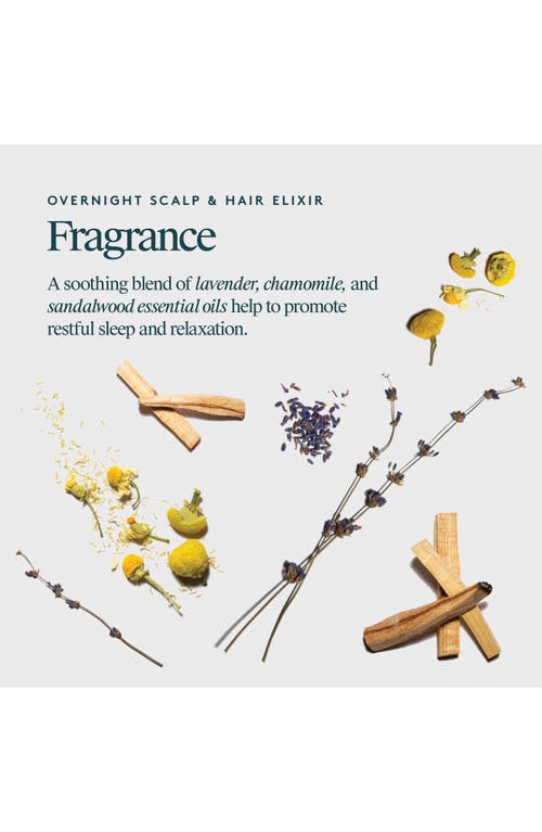 Virtue ® Overnight Scalp & Hair Elixir In Transparent