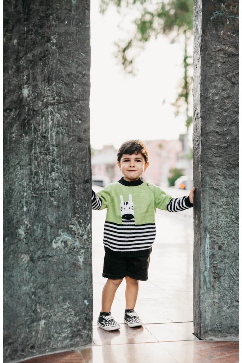 Zebra Sweater, Alternate, color, Green