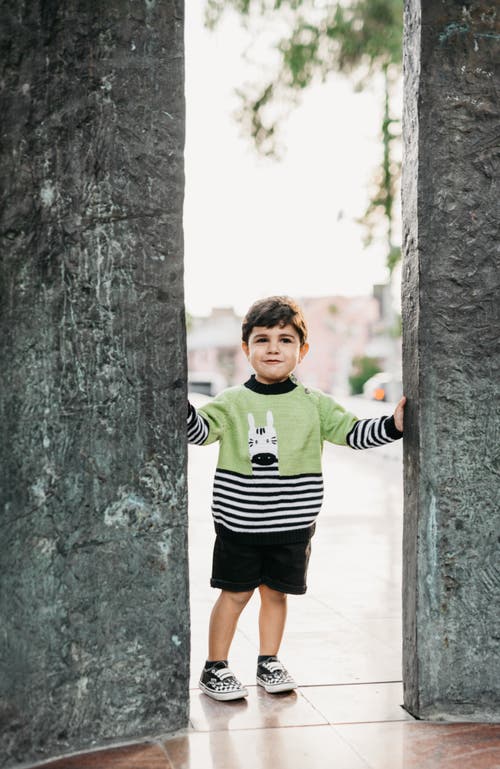 Melange Collection Zebra Sweater In Green