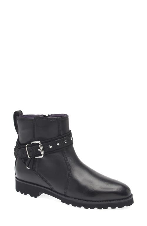 Robert Zur Nicolle Buckle Strap Bootie In Black