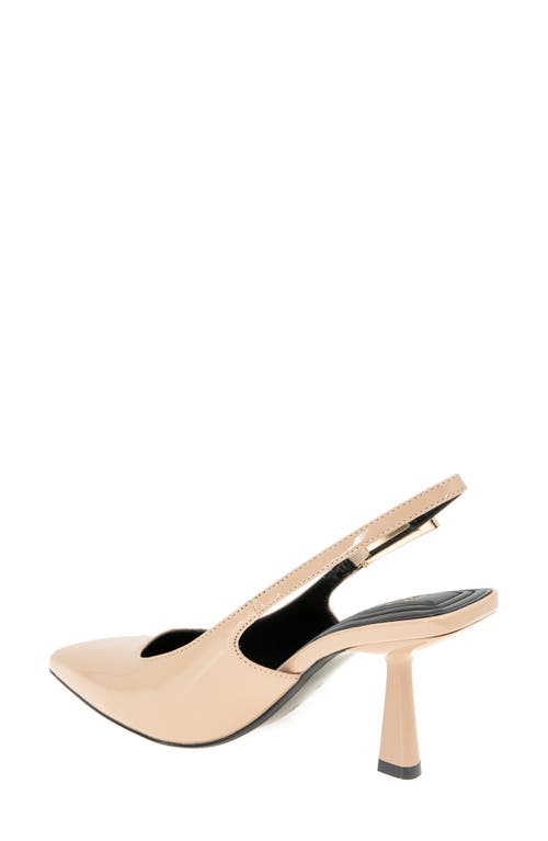 Bcbg Inara Slingback Pointed Toe Pump In Neutral
