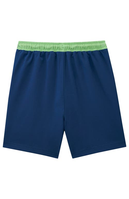 Roarsome Spike The Dinosaur Swim Trunks In Blue