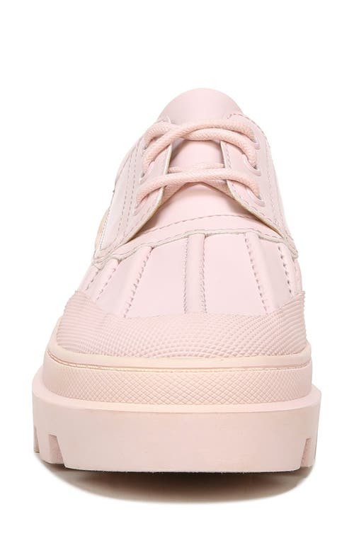 Circus Ny By Sam Edelman Circus By Sam Edelman Isa Sneaker In Ballet Pink