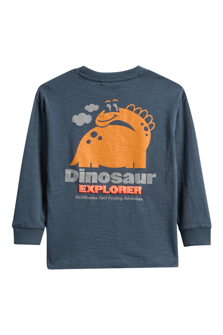 Kids' Dinosaur Graphic T-Shirt, Alternate, color, GREY