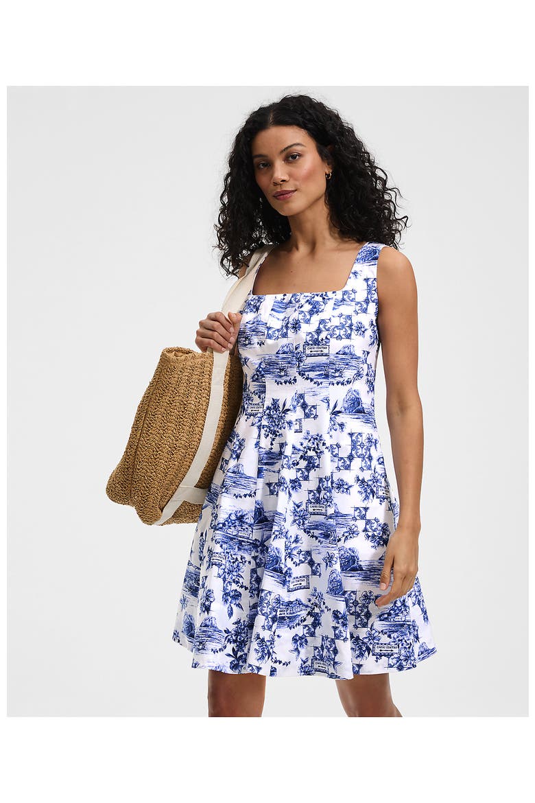 Princess Seam Poplin Above the Knee Dress, Alternate, color, White/Blue Toile