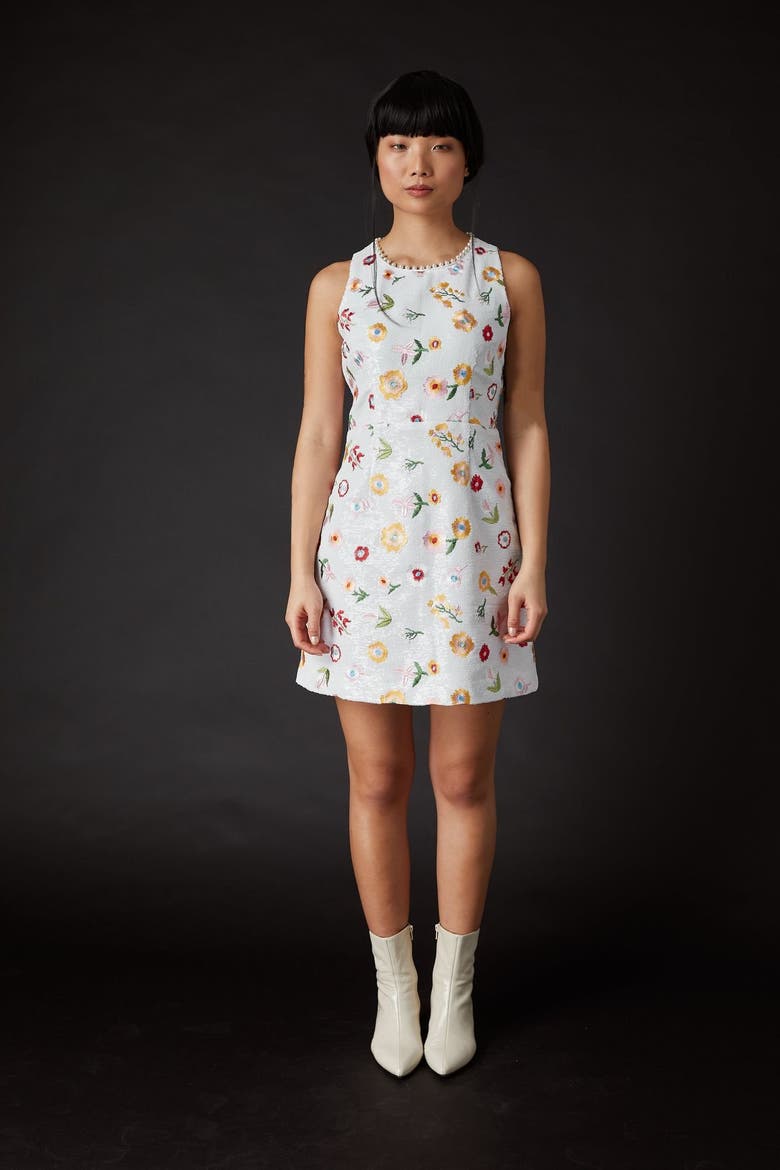 Derling Embroidered Dress, Alternate, color, Blanche