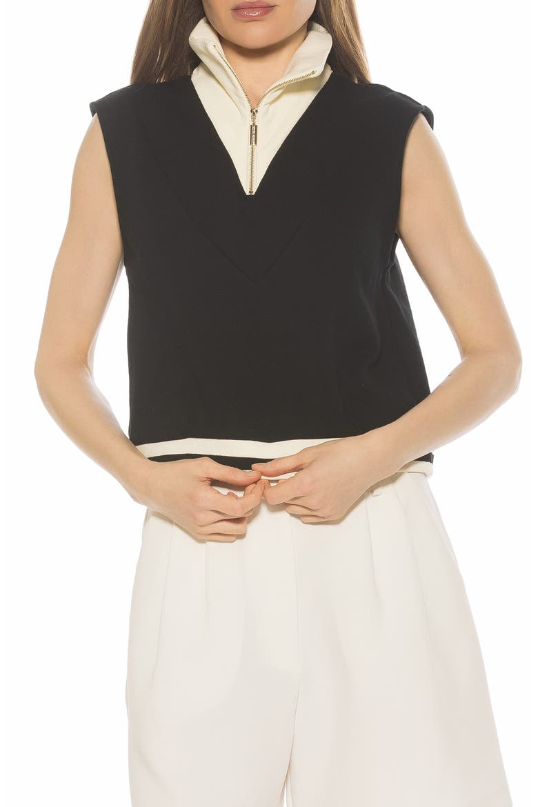 Denise Collared Top, Main, color, BLACK/ IVORY