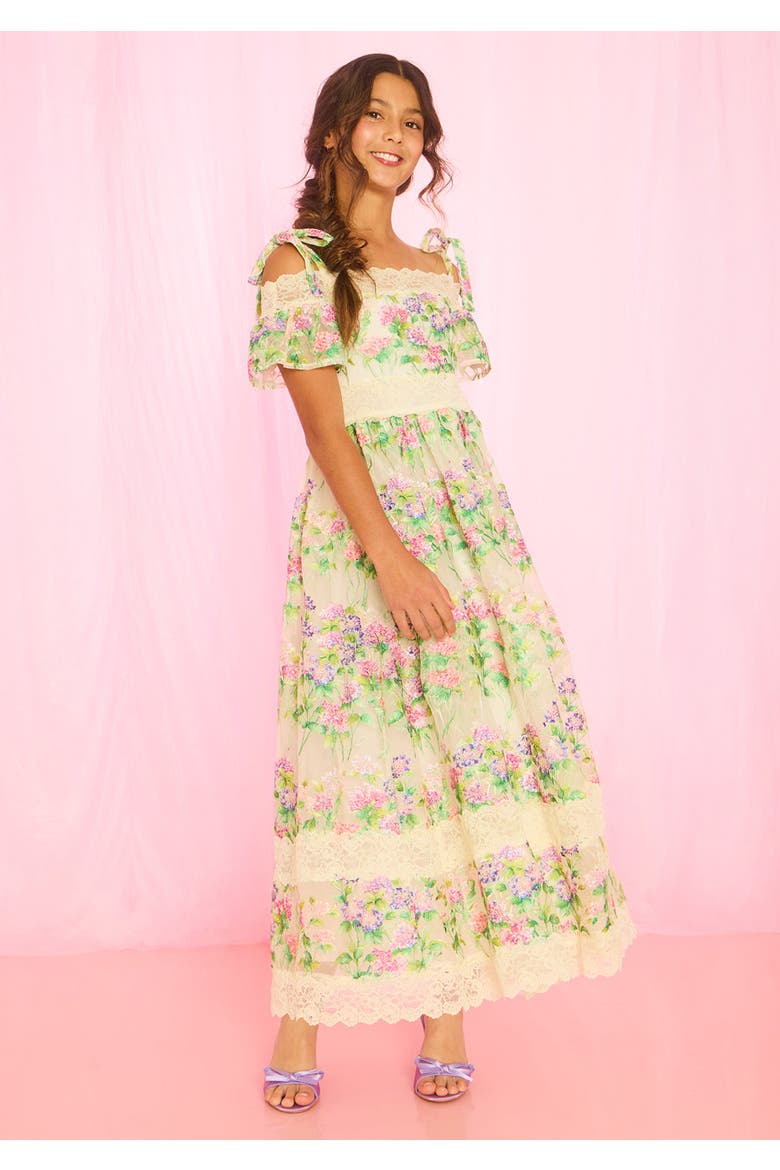 Clementine Embroidered Maxi Dress, Alternate, color, Floral