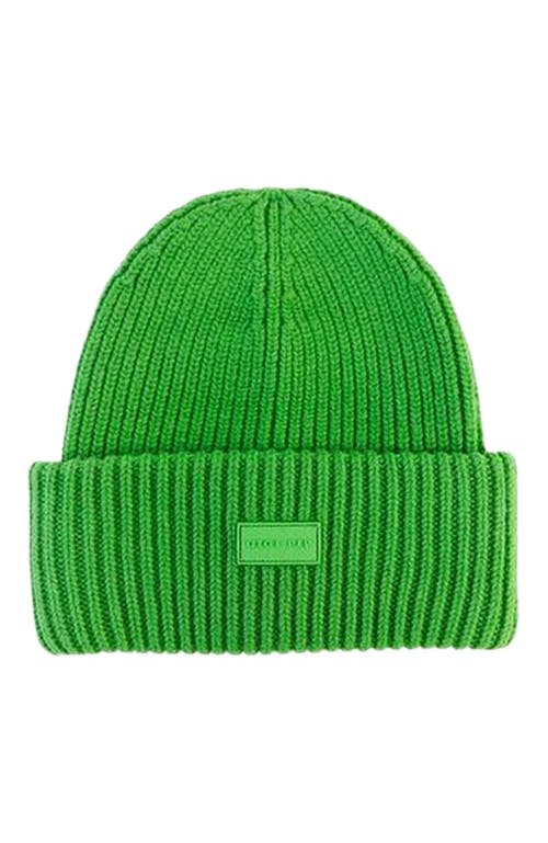 Gigi Pip Gigi Merino Wool Chunky Ribbed Beanie in Evergreen 