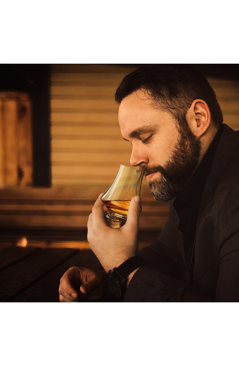 FINAL TOUCH Whiskey Tasting Glasses - Set of 2, Alternate, color, Clear