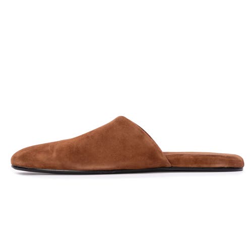 Black Suede Studio Shiloh Mule In Brown