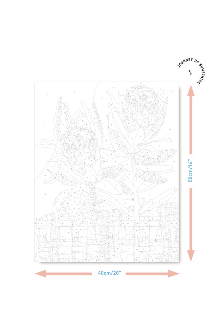 Paint By Numbers, Two Proteas, DIY Painting Craft Kit, Alternate, color, Multicolored