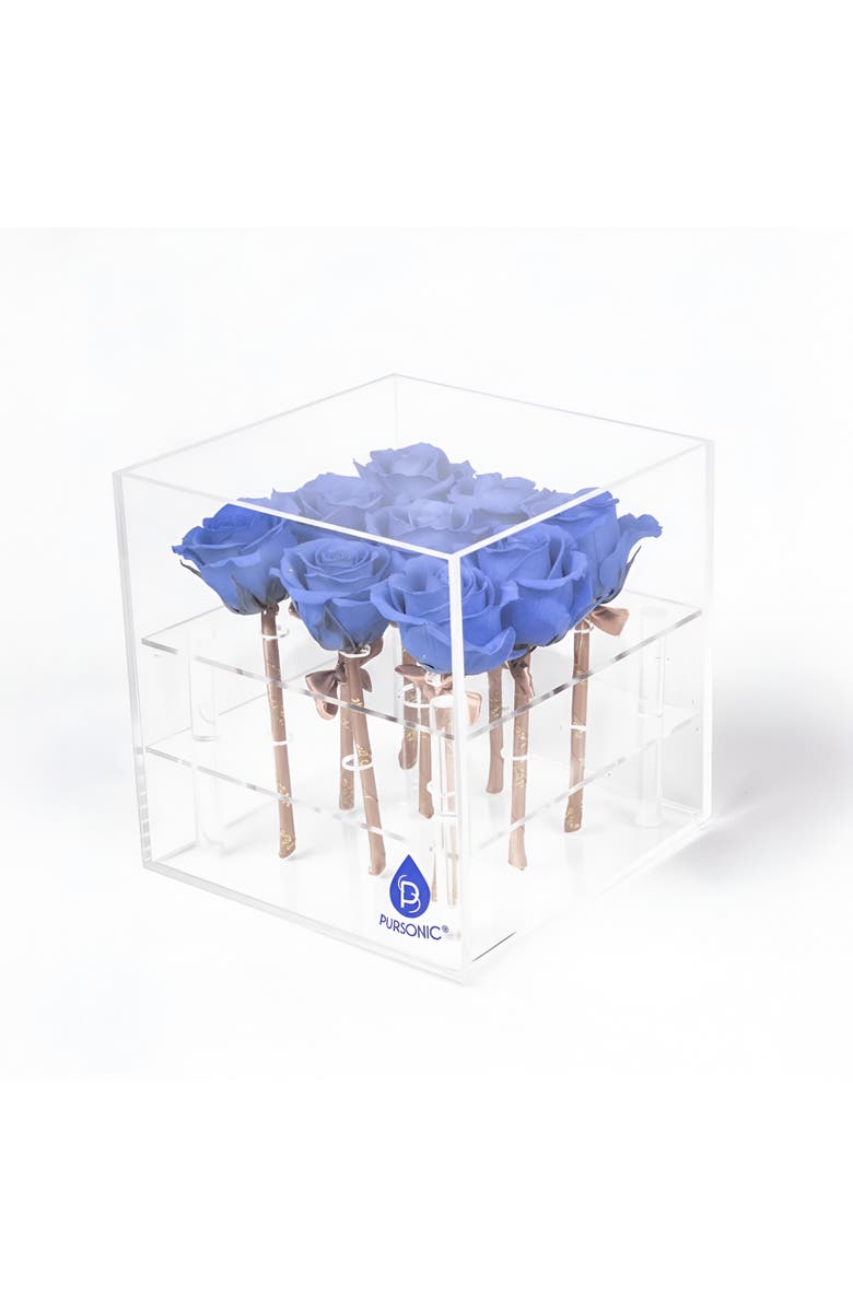 PURSONIC 9 Preserved Roses in Acrylic Box, Main, color, Blue