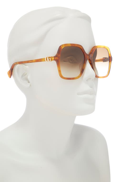 Gucci 56mm Gradient Square Sunglasses In Havana Havana Brown