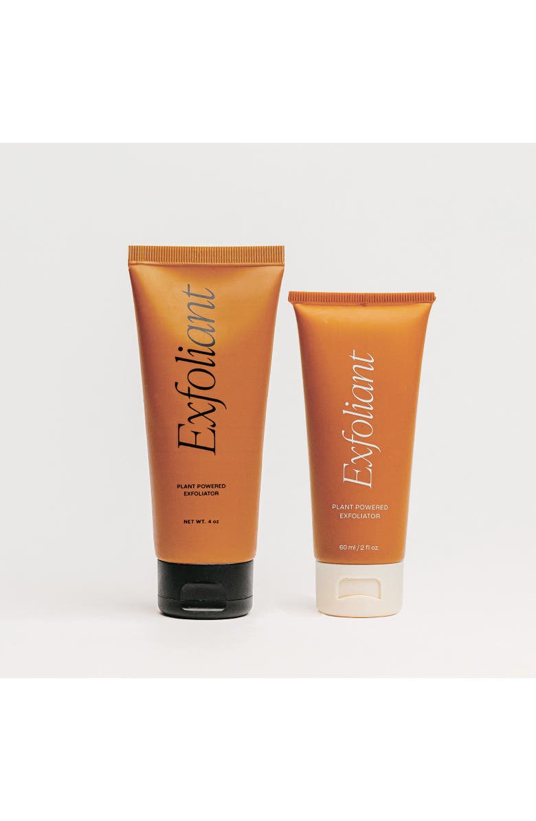 The Daily Essential Co Travel Exfoliant, Alternate, color, 2Oz