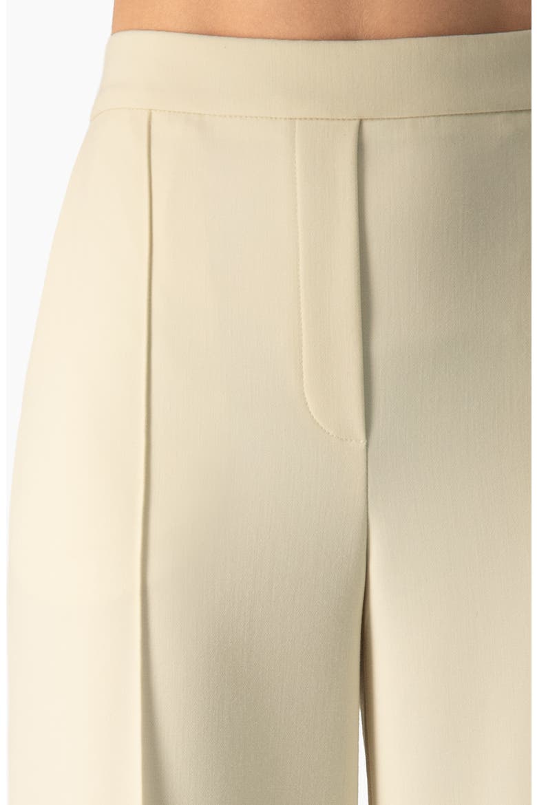 High-Waist Pleated Wide-Leg Tailored Trousers, Alternate, color, Ivory