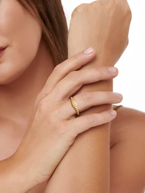 Devata Ribbed Ring In Gold