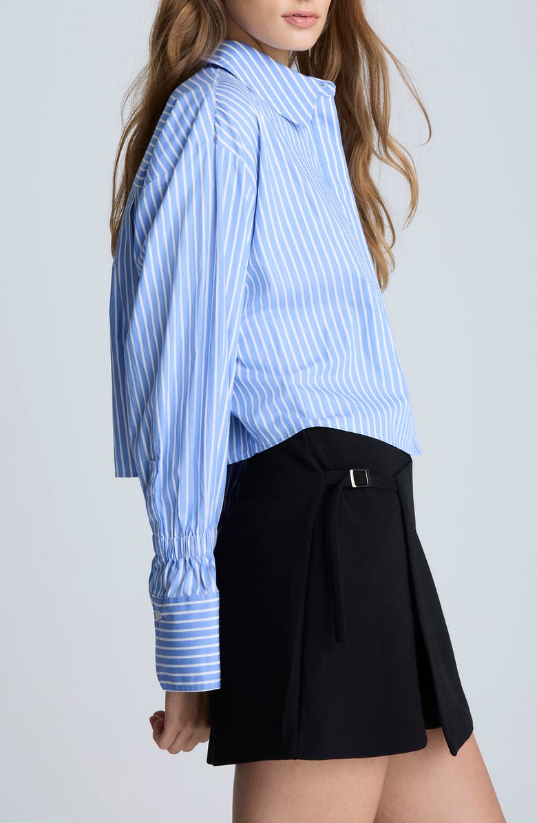Kenneth Cole Stripe Crop Button-Up Shirt, Alternate, color,