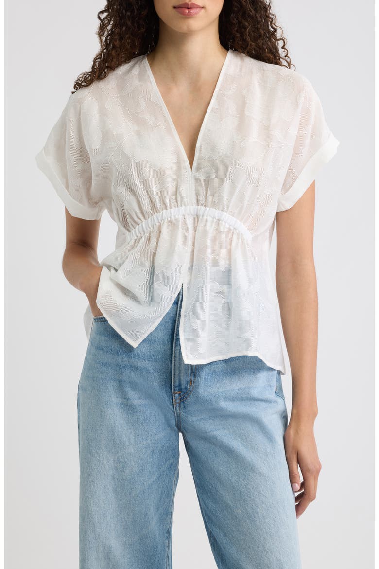 Sheer Floral Short Sleeve V-Neck Top, Main, color, SHEER ETCHED FLORAL