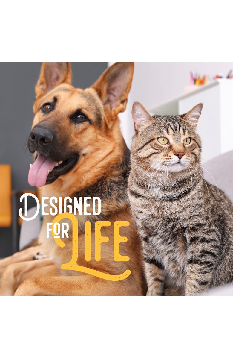 Ruffin' It Plush Large Hedgehog Plush Wildlife Dog Toy, Alternate, color, 