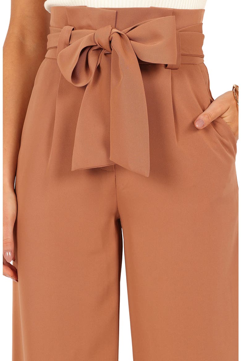 Kieran Tie Waist Wide Leg Pants, Alternate, color, TAN
