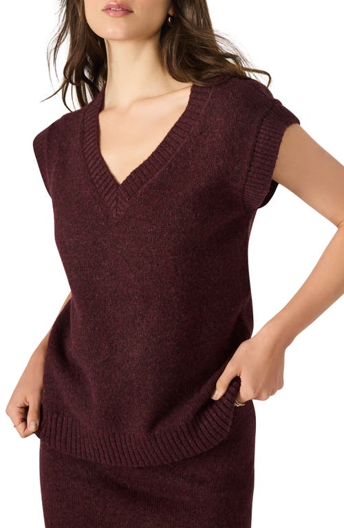 Steve Madden Remy Sweater Vest In Brown