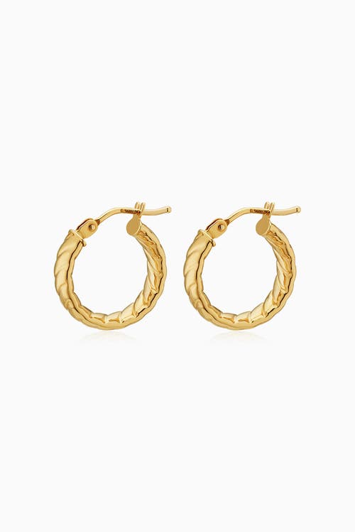 Oradina 14k Gold Cobra Hoops Earrings In Yellow Gold