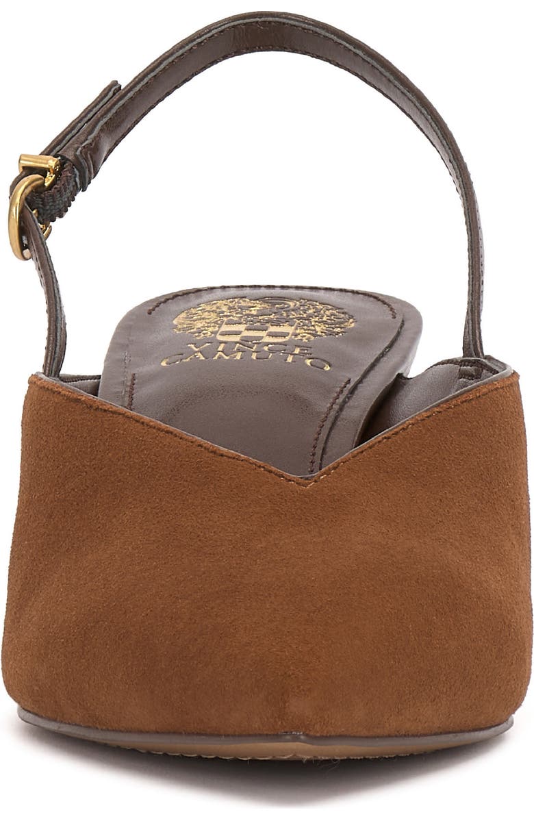 Vince Camuto Kylien Slingback Pointed Toe Pump, Alternate, color, Burnt Sugar