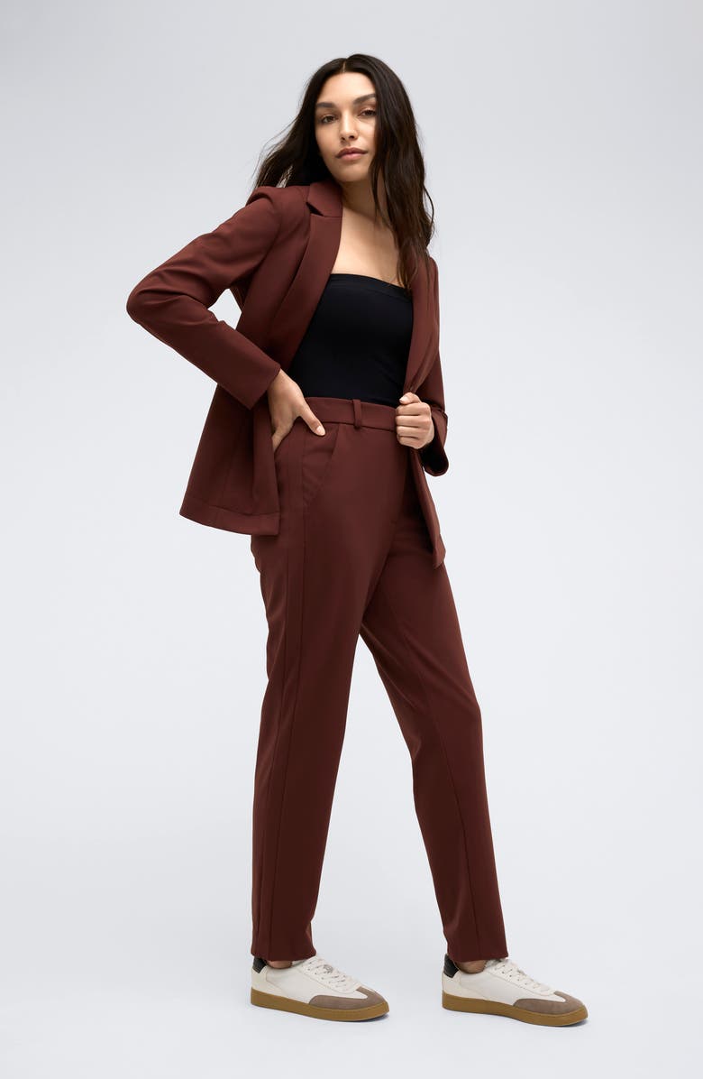 Kenneth Cole Straight Leg Pants, Alternate, color, Deep Chestnut