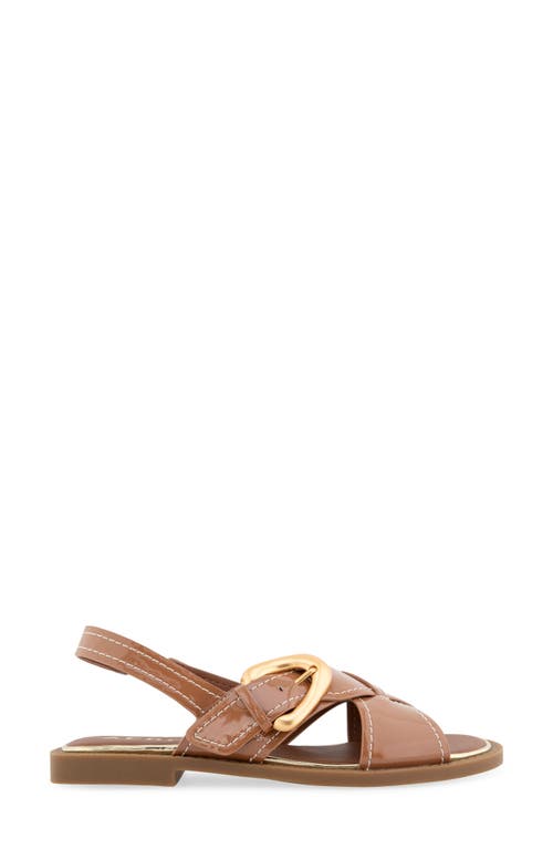 AEROSOLES AEROSOLES CASSA SLINGBACK SANDAL