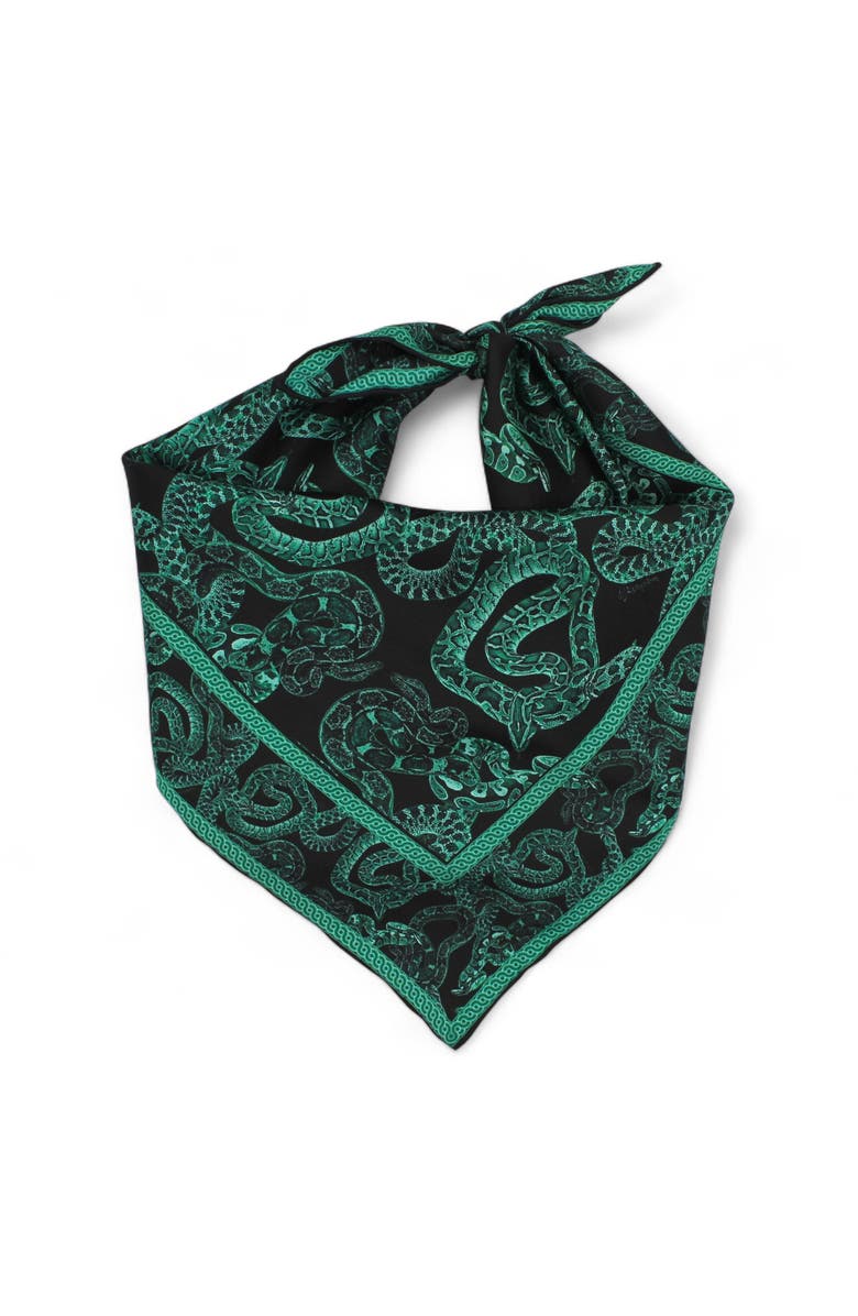 Monzlapur Silk Serpent Noir Scarf, Main, color, Forest Green