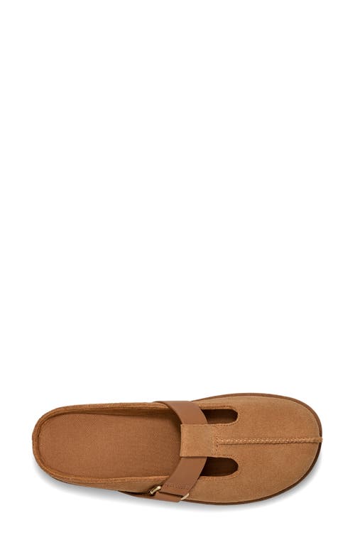 Ugg(r) Goldenstar Platform Clog In Chestnut
