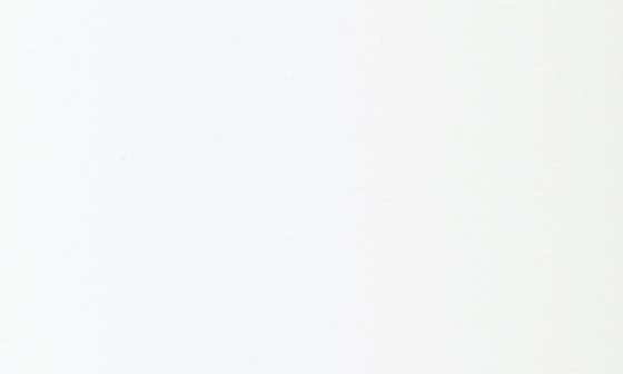 selected BRIGHTENING