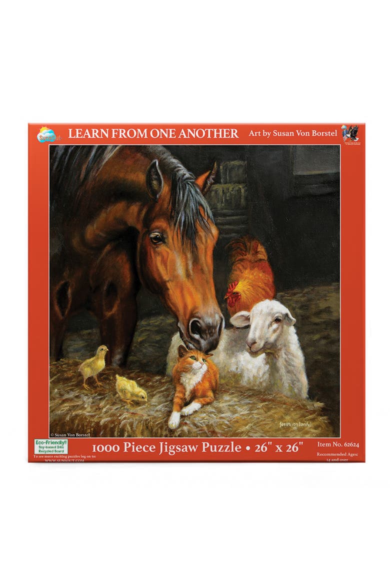 Learn from One Another 1000, Alternate, color, Multicolor