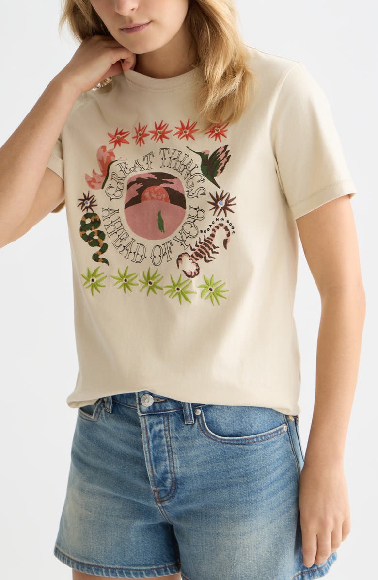 Scotch & Soda Embroidered Artwork Cotton Graphic T-Shirt, Alternate, color, Fog