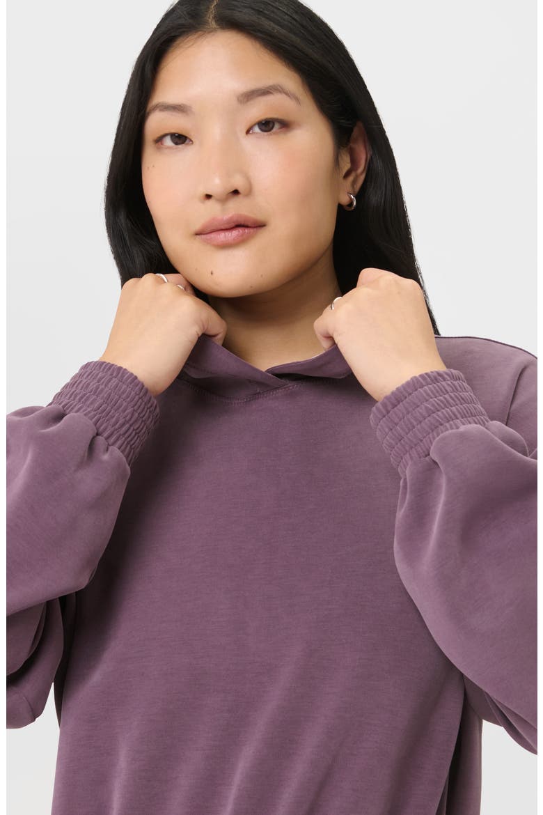 Sand Wash Cloud Weight Crop Hoodie, Alternate, color, NEPTUNE PURPLE