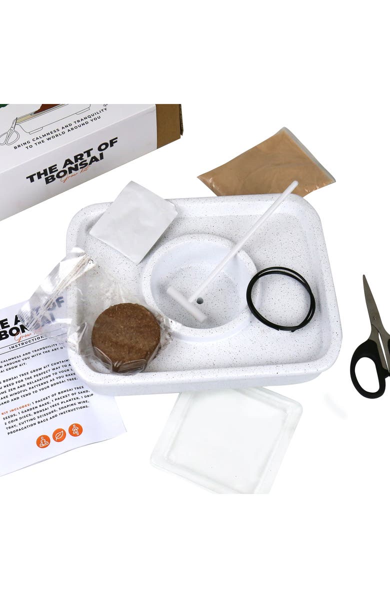 GIFT REPUBLIC The Art of Bonsai Grow Kit, Alternate, color, 